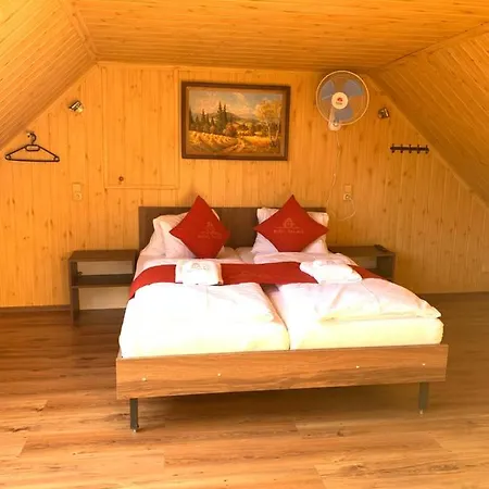 Guest house Vidhous 2 Frantiskovy Lazne